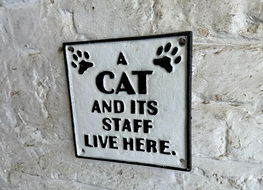 cat & staff sign